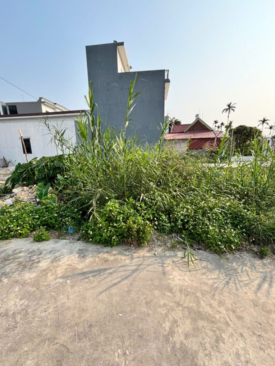 Bán đất An Dương Hải Phòng