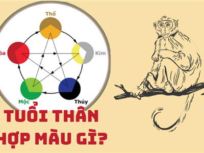 Tuổi Thân 1992 Hợp Và Kỵ Màu Gì 2025? Cách Màu Sắc Thu Hút Tài Lộc Và Hạnh Phúc