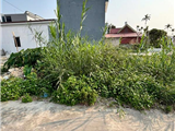 CHUYỂN NHƯỢNG LÔ ĐẤT TẠI HY TÁI, HỒNG THÁI, AN DƯƠNG, HẢI PHÒNG 292485
