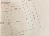 Bán lô đất biệt thự 313,6m² phố Ngô Hùng, Thành Tô, Hải An.