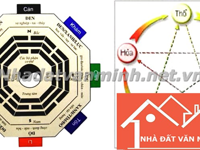 Thủy Sinh Gì? Những Ứng Dụng Trong Phong Thủy Nhà Ở - Nhà đất Văn Minh