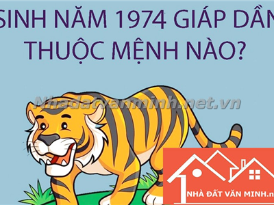 Sinh Năm 1974 Tuổi Con Gì? Bí Mật Phong Thủy Và Hướng Nhà Tốt Cho Tuổi Giáp Dần 1974 - Nhà đất Văn Minh