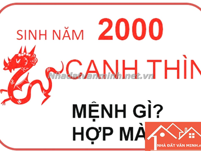 Sinh Năm 2000 Hợp Màu Gì Sơn Nhà, Làm Nội Thất? Tử Vi Tuổi Canh Thìn 2024 - Nhà Đất Văn Minh