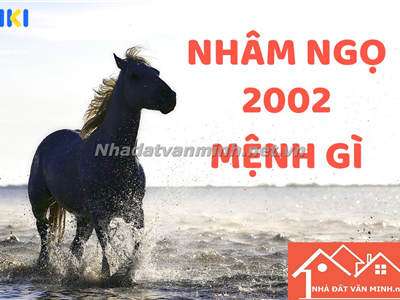 Người Sinh Năm 2002: Mệnh Gì? Màu Sắc, Hướng Nhà Và Năm Xây Nhà Hợp Tuổi Nhâm Ngọ 2002 - Nhà Đất Văn Minh