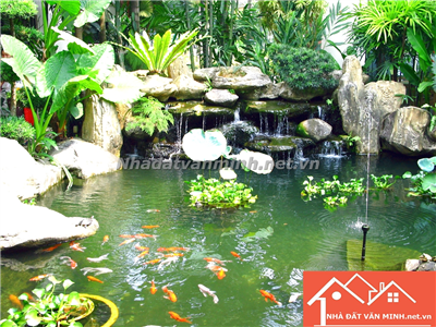 Phương Pháp Làm Hòn Non Bộ Kết Hợp Bể Nước Tốt Về Phong Thủy - Nhà Đất Văn Minh