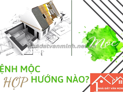 Người Mệnh Mộc Hợp Hướng Nào Khi Làm Nhà? 3 Hướng Nhà Đẹp Không Thể Bỏ Qua - Nhà Đất Văn Minh