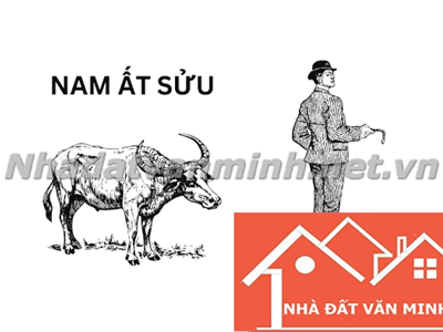 Người Sinh Năm 1985 Hợp Hướng Nào? Khám Phá 4 Hướng Đẹp Nhất Cho Người Tuổi Ất Sửu - Nhà Đất Văn Minh