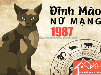 Người Tuổi Mão Nên Chọn Hướng Nhà Nào Để Đón Nhận Tài Lộc Và May Mắn? Hướng Nhà Đẹp Cho Các Tuổi: 1963, 1975, 1987, 1999 - Nhà Đất Văn Minh