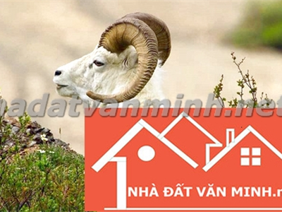Người Tuổi Mùi Nên Chọn Hướng Nhà Nào Để Đón Nhận Tài Lộc Và May Mắn? Hướng Nhà Đẹp Cho Các Tuổi: 1955, 1967, 1979, 1991, 2003 - Nhà Đất Văn Minh