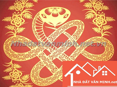 Người Tuổi Tỵ Nên Chọn Hướng Nhà Nào Để Đón Nhận Tài Lộc Và May Mắn? Hướng Nhà Đẹp Cho Các Tuổi: 1953, 1965, 1977, 1989, 2001 - Nhà Đất Văn Minh