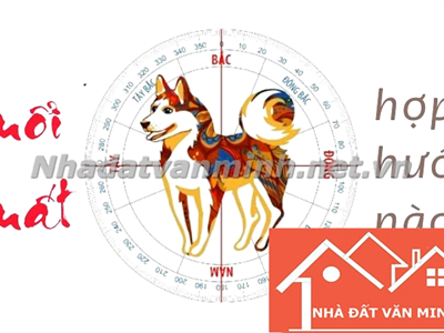 Người Tuổi Tuất Nên Chọn Hướng Nhà Nào Để Thu Hút Tài Lộc Và Bình An? Hướng Nhà Đẹp Cho Các Tuổi: 1946, 1958, 1970, 1982, 1994 - Nhà Đất Văn Minh