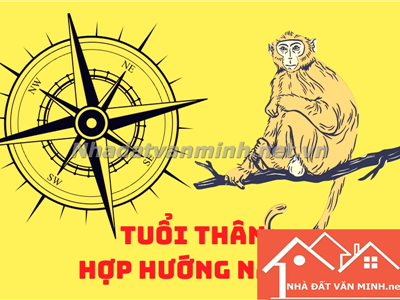 Người Tuổi Thân Nên Chọn Hướng Nhà Nào Để Thu Hút Tài Lộc Và Bình An? Hướng Nhà Đẹp Cho Các Tuổi: 1956, 1968, 1980, 1992, 2004 - Nhà Đất Văn Minh