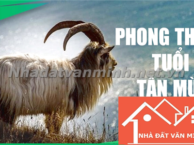 Hướng Nhà Hợp Phong Thủy Để Ăn Nên Làm Ra Cho Người Sinh Năm 1991 Tuổi Tân Mùi - Quan Điểm Của Nhà Đất Văn Minh