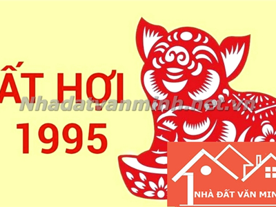 Hướng Nhà Và Kinh Doanh Hợp Phong Thủy Cho Người Sinh Năm 1995 Trong Năm 2025 - Quan Điểm Của Nhà Đất Văn Minh