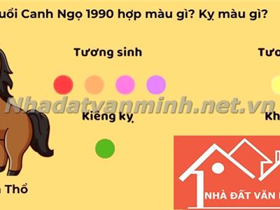 Màu Sắc Hợp Phong Thủy Và Tư Vấn Sơn Nhà Để Hút Tài Lộc Cho Người Sinh Năm 1990 Trong Năm 2025 - Nhà Đất Văn Minh