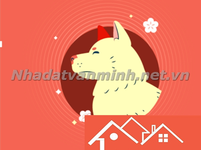 Màu Sắc May Mắn Cho Người Tuổi Giáp Tuất 1994 Để Tăng Vận Khí Năm 2025 - Nhà Đất Văn Minh