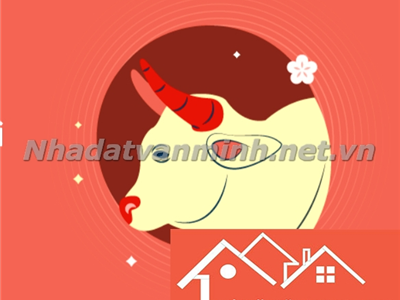 Màu Sắc May Mắn Và Hợp Phong Thủy Cho Người Tuổi Đinh Sửu 1997 - Nhà Đất Văn Minh