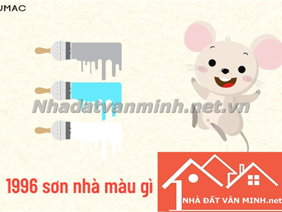 Tuổi 1996 Hợp Màu Gì, Sơn Nhà Màu Nào Để Thu Hút Vận May Năm 2025? - Nhà Đất Văn Minh