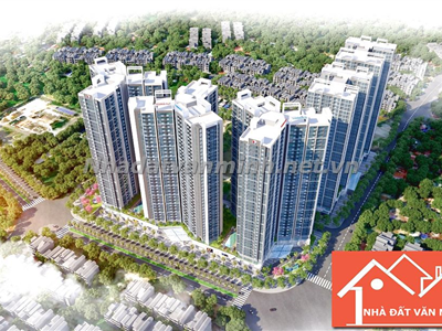 Dự Án Hoàng Huy Commerce - Võ Nguyên Giáp, Lê Chân