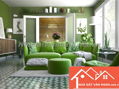 Mệnh Mộc Hợp Màu Gì Khi Thiết Kế Nội Thất Nhà Ở? Tư Vấn Từ Nhà Đất Văn Minh