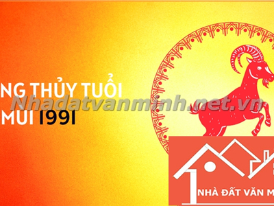 Tân Mùi 1991: Mệnh Gì? Hướng Nhà May Mắn, Tài Lộc Cho Nam Nữ Sinh Năm 1991 - Nhà Đất Văn Minh