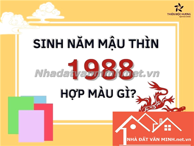 Khám Phá Vận Mệnh Và Màu Sắc Hợp Tuổi Cho Nam Nữ Tuổi Thìn 1988 Trong Năm 2024 - Nhà Đất Văn Minh