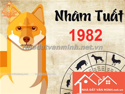 Nhâm Tuất 1982: Mệnh Gì? Hợp Xây Nhà Hướng Nào? - Nhà Đất Văn Minh