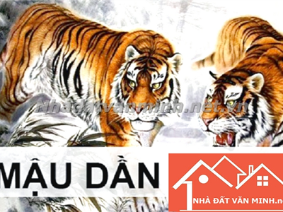 1998 Mệnh Gì - Màu Sắc, Hướng Nhà Hợp Phong Thủy Tuổi Mậu Dần 1998 - Nhà Đất Văn Minh