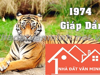 Giáp Dần 1974: Mệnh Gì? Bí Quyết Chọn Màu Sắc Và Hướng Nhà Phù Hợp - Nhà Đất Văn Minh
