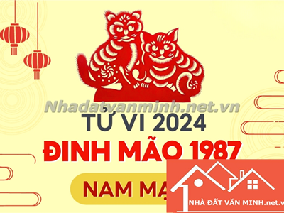 Đinh Mão 1987: Mệnh Gì Và Tuổi Làm Ăn Hợp Năm 2024 - Nhà Đất Văn Minh