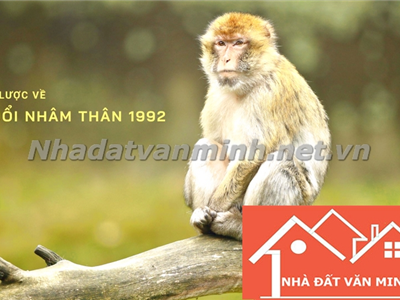 1992 Tuổi Con Gì? Hướng Xây Nhà Hợp Với Nhâm Thân 1992 - Nhà Đất Văn Minh