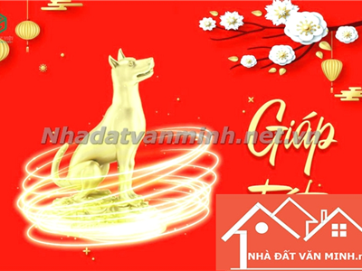 Nam, Nữ 1994 Tuổi Con Gì? Chọn Hướng Nào Xây Nhà Tài Lộc 2025? - Nhà Đất Văn Minh