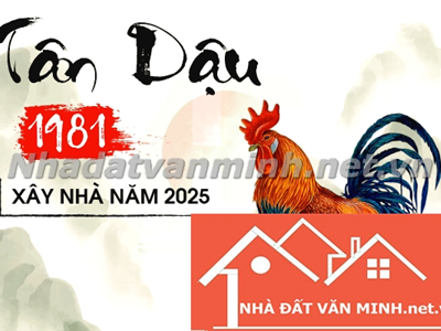 1981 Tuổi Con Gì? Mệnh Tài Lộc Và Hướng Xây Nhà 2025 - Nhà Đất Văn Minh