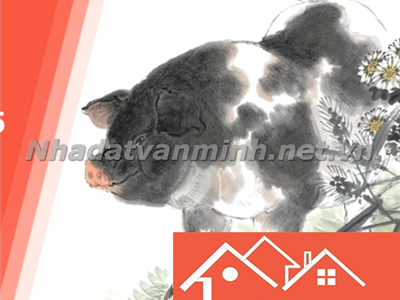 Sinh Năm 1995 Tuổi Con Gì? Hợp Hướng Nhà Nào? - Nhà Đất Văn Minh