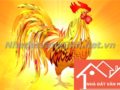 Sinh Năm 1993 Tuổi Con Gì? Nên Xây Nhà Hướng Nào? - Nhà Đất Văn Minh
