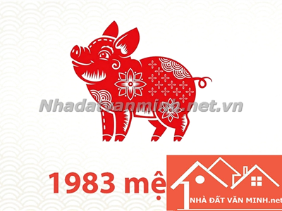 Sinh 1983 Tuổi Con Gì? Mệnh Gì Và Nên Chọn Hướng Nhà Nào? - Nhà Đất Văn Minh