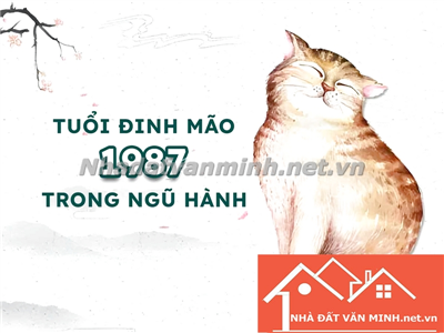 1987 Tuổi Con Gì? Hướng Nhà, Hướng Bếp Tốt Cho 1987 - Nhà Đất Văn Minh