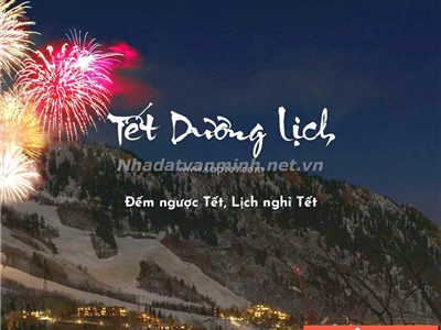 Tết Dương Lịch: Văn Phòng Nhà Đất Văn Minh Chào Đón Năm Mới
