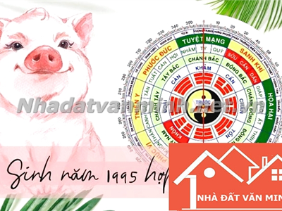 Tuổi Hợi Sinh Năm Nào? Chọn Hướng Nhà Phong Thủy Tốt Nhất Cho Người Tuổi Hợi - Nhà Đất Văn Minh