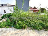 Chính chủ cần chuyển nhượng lô đất tại Hy Tái, Hồng Thái, An Dương, Hải Phòng 292485