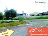 Chính chủ cần cho thuê nhà xưởng tại đường Văn Cú, phường An Đồng, quận An Dương, Hải Phòng 292745