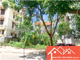 Chuyển nhượng lô đất biệt thự tại khu Sao Đỏ, phường Anh Dũng, quận Dương Kinh, Hải Phòng 291390