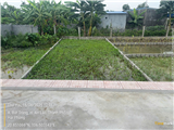 duy nhất 1 lô tại thôn hạ trang xã bát trang an lão hải phòng 60,1 m2 MT 4m nở hậu ngay đường lớn trục chính 