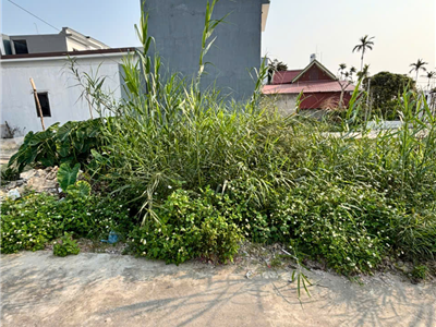 Bán đất An Dương Hải Phòng – Cơ hội đầu tư & an cư sinh lời cao